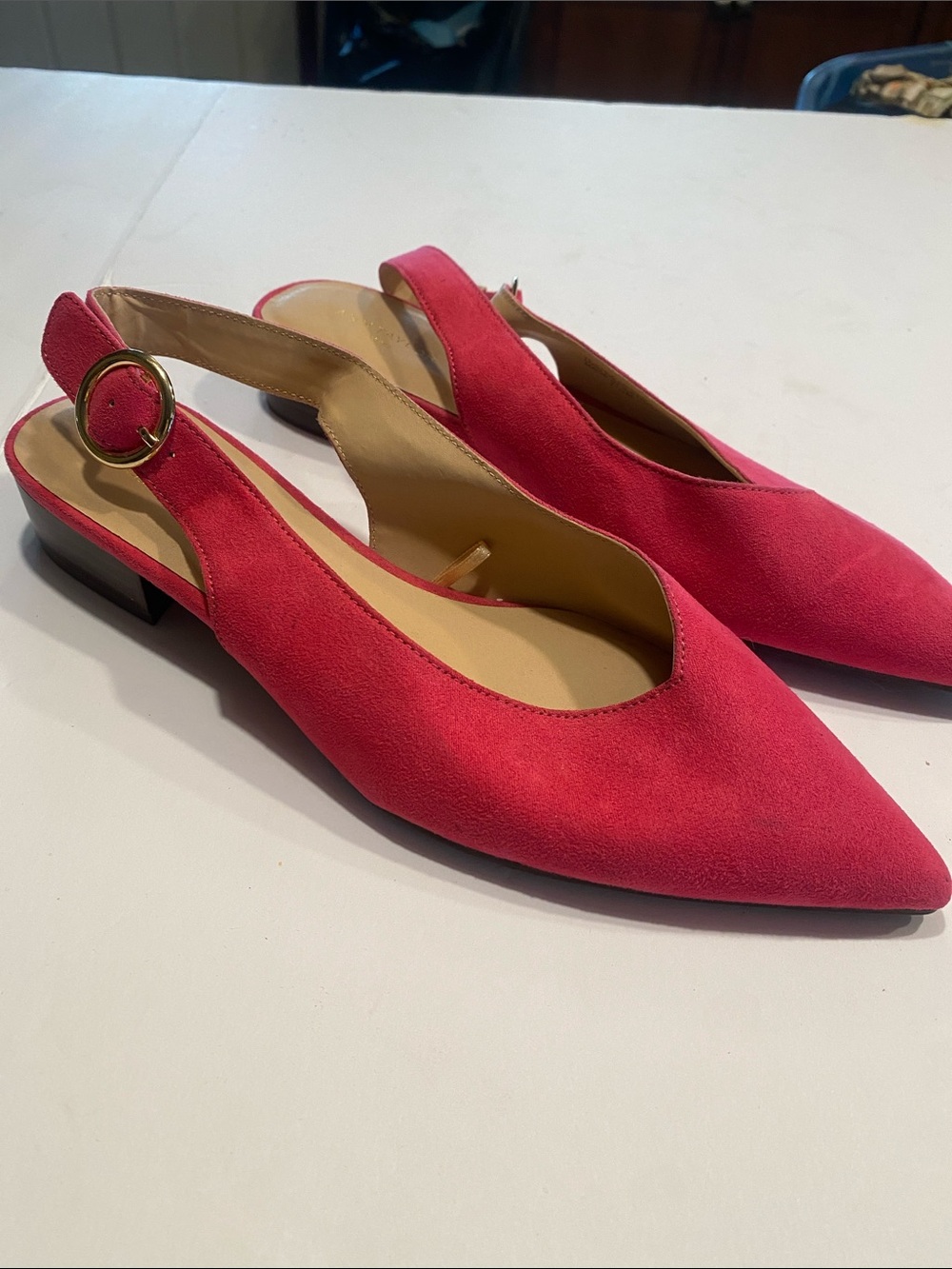 Ann Taylor Pink Pointed Slingback Mules with Gold Buckle